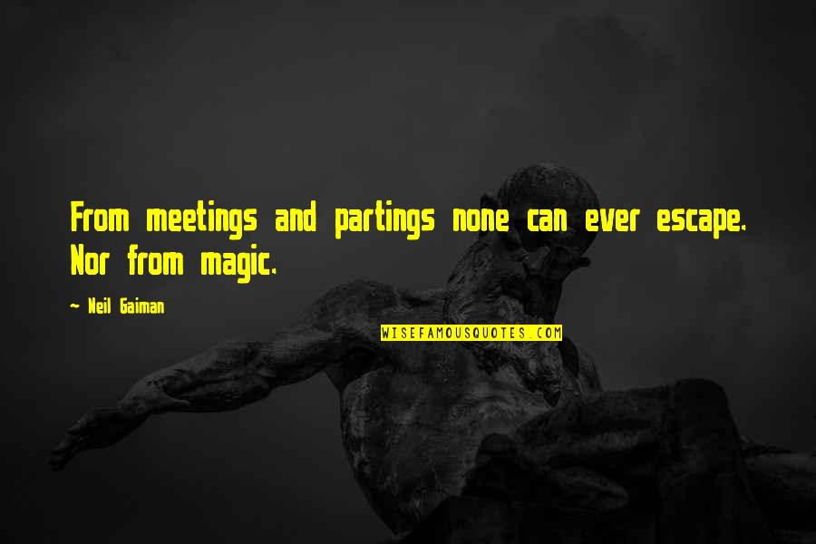 Resisting Drugs Quotes By Neil Gaiman: From meetings and partings none can ever escape.