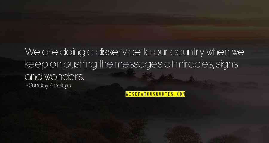 Resolving Arguments Quotes By Sunday Adelaja: We are doing a disservice to our country Resolving Arguments Quotes By Sunday Adelaja: We are doing a disservice to our country