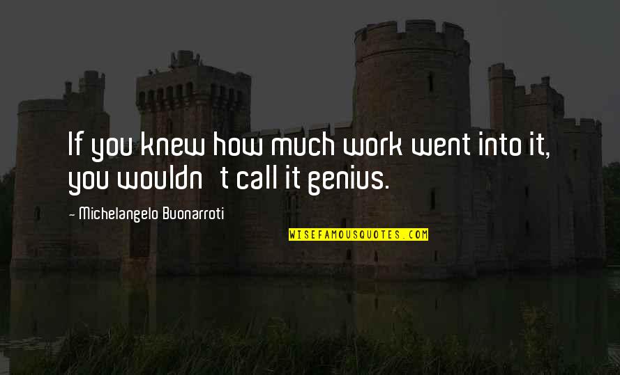 Resolving Fights Quotes By Michelangelo Buonarroti: If you knew how much work went into