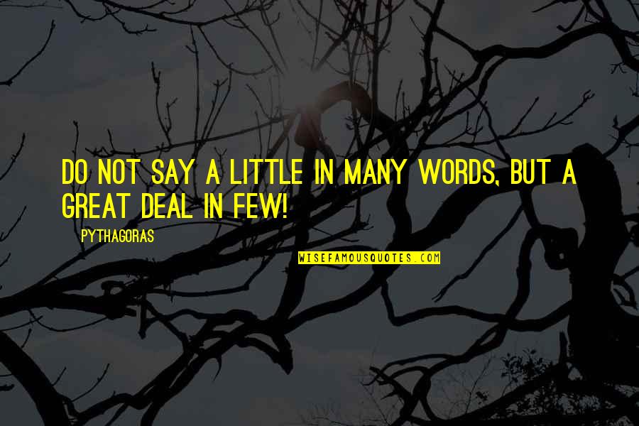 Resoplast Quotes By Pythagoras: Do not say a little in many words,