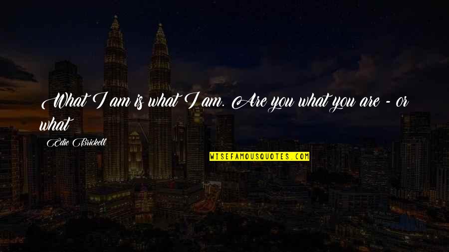Resources And Opportunities Quotes By Edie Brickell: What I am is what I am. Are