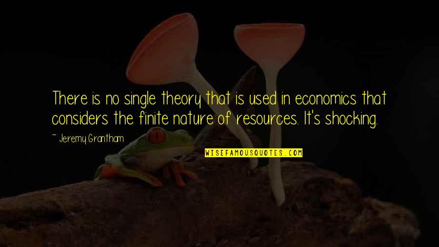 Resources Is Quotes By Jeremy Grantham: There is no single theory that is used