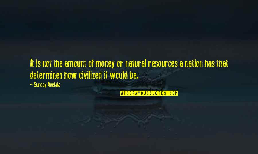 Resources Is Quotes By Sunday Adelaja: It is not the amount of money or