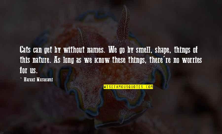 Respaldar Para Quotes By Haruki Murakami: Cats can get by without names. We go Respaldar Para Quotes By Haruki Murakami: Cats can get by without names. We go