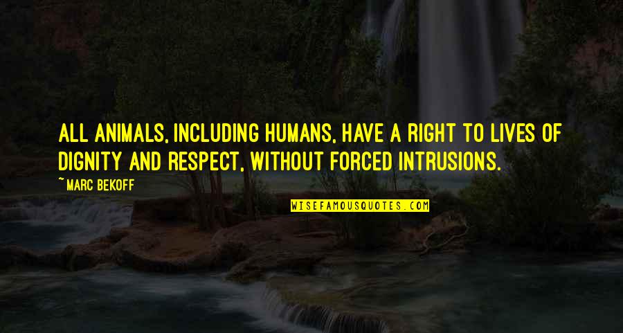 Respect And Dignity Quotes By Marc Bekoff: All animals, including humans, have a right to