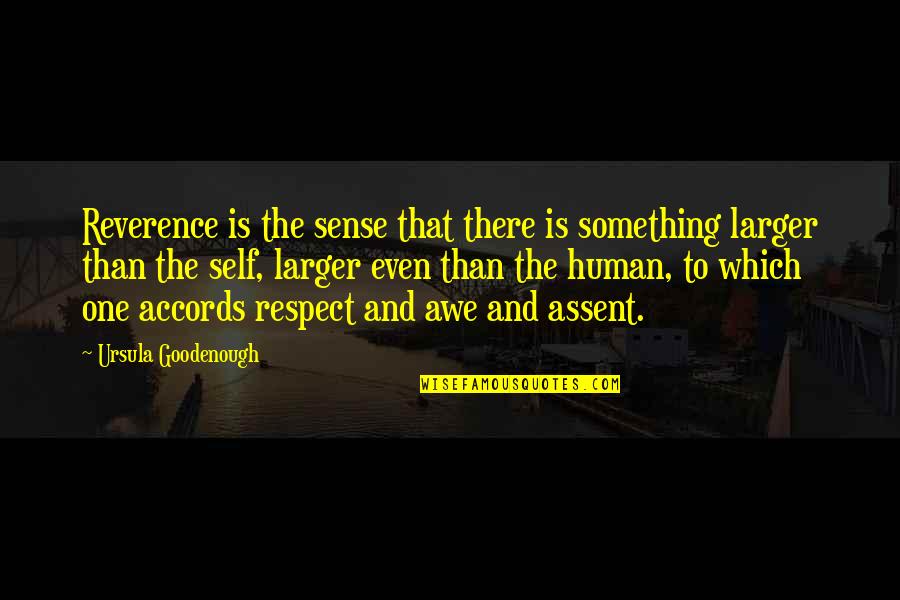 Respect And Reverence Quotes By Ursula Goodenough: Reverence is the sense that there is something