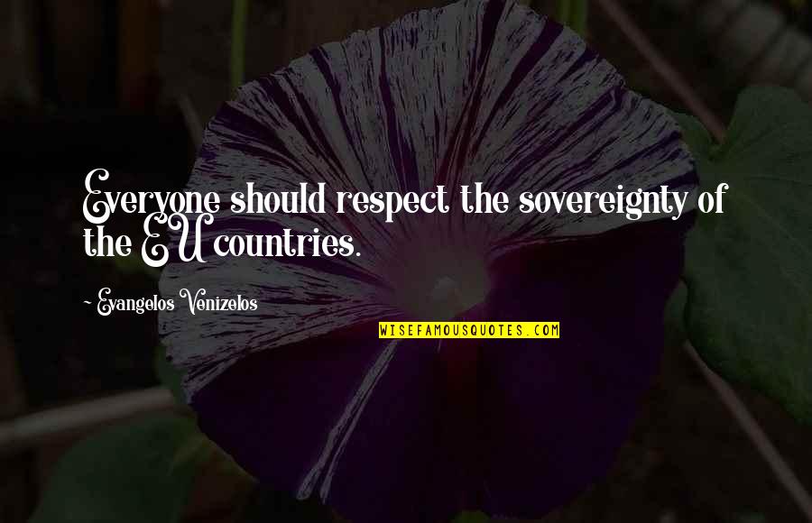 Respect For Everyone Quotes By Evangelos Venizelos: Everyone should respect the sovereignty of the EU
