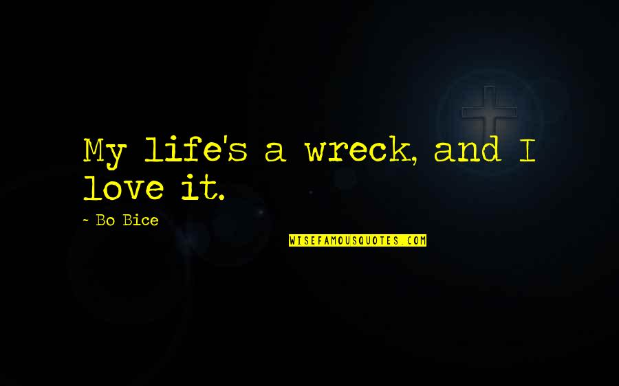Respect Indian Flag Quotes By Bo Bice: My life's a wreck, and I love it.