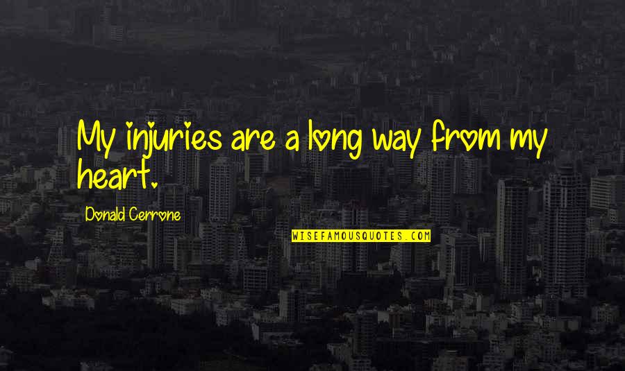 Respect Individuality Quotes By Donald Cerrone: My injuries are a long way from my