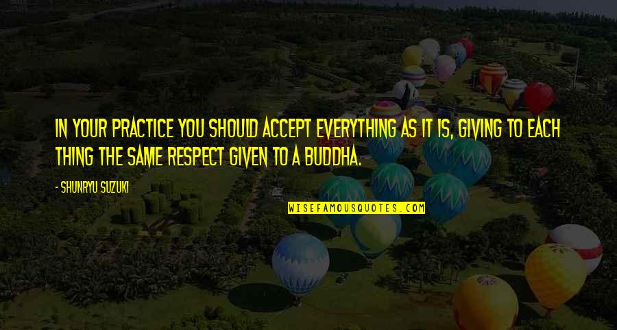 Respect Is Everything Quotes By Shunryu Suzuki: In your practice you should accept everything as