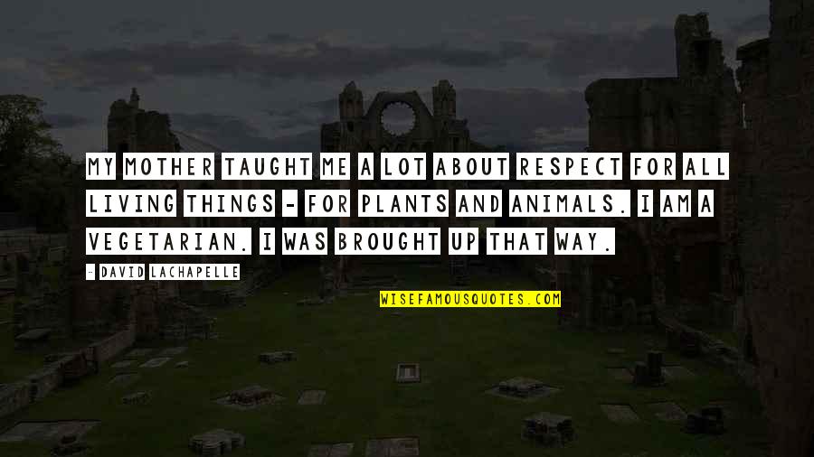 Respect Me For Me Quotes By David LaChapelle: My mother taught me a lot about respect