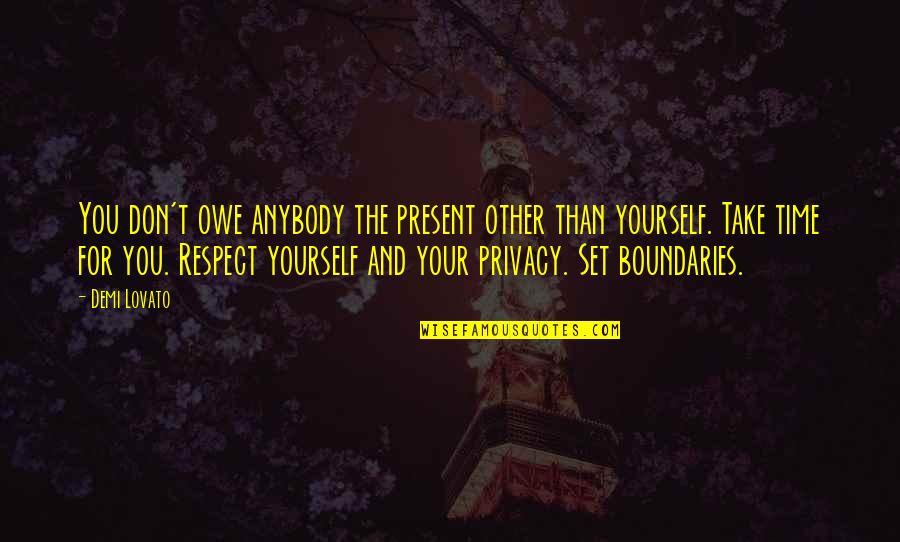 Respect My Boundaries Quotes By Demi Lovato: You don't owe anybody the present other than