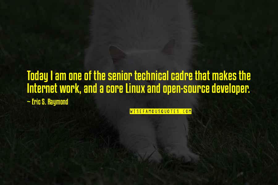 Respect Peoples Boundaries Quotes By Eric S. Raymond: Today I am one of the senior technical