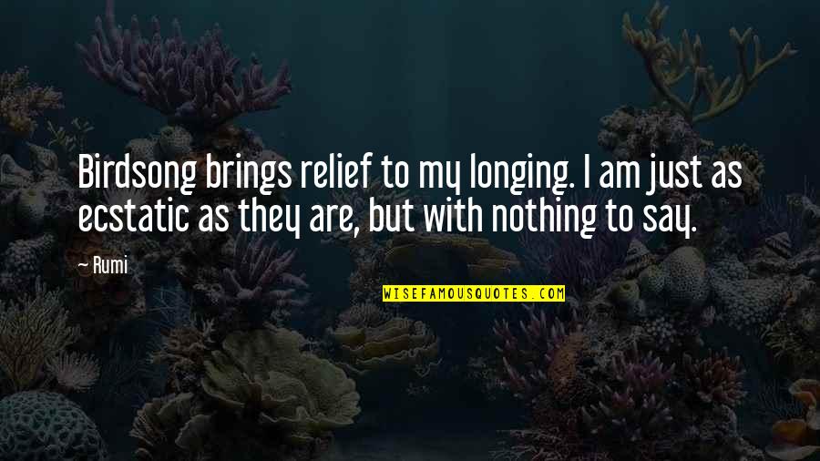 Respectest Quotes By Rumi: Birdsong brings relief to my longing. I am