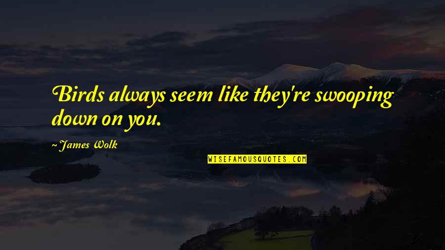 Respecting Your Fellow Man Quotes By James Wolk: Birds always seem like they're swooping down on