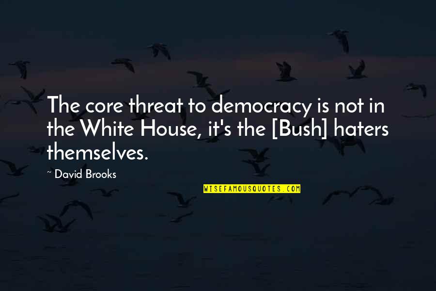 Respectivo Dibujo Quotes By David Brooks: The core threat to democracy is not in