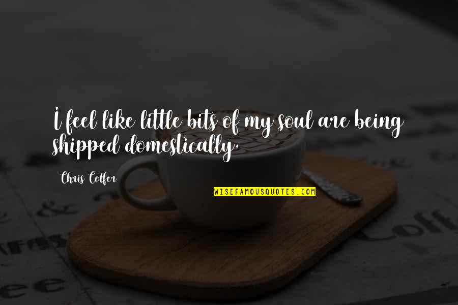 Respicio And Co Quotes By Chris Colfer: I feel like little bits of my soul
