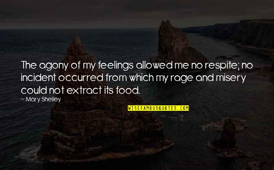 Respite Quotes By Mary Shelley: The agony of my feelings allowed me no