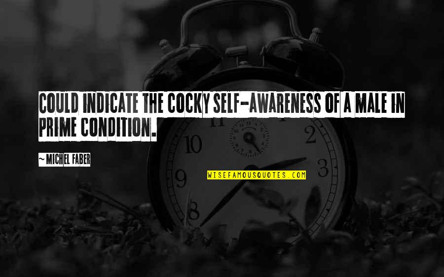 Respondent Synonym Quotes By Michel Faber: Could indicate the cocky self-awareness of a male