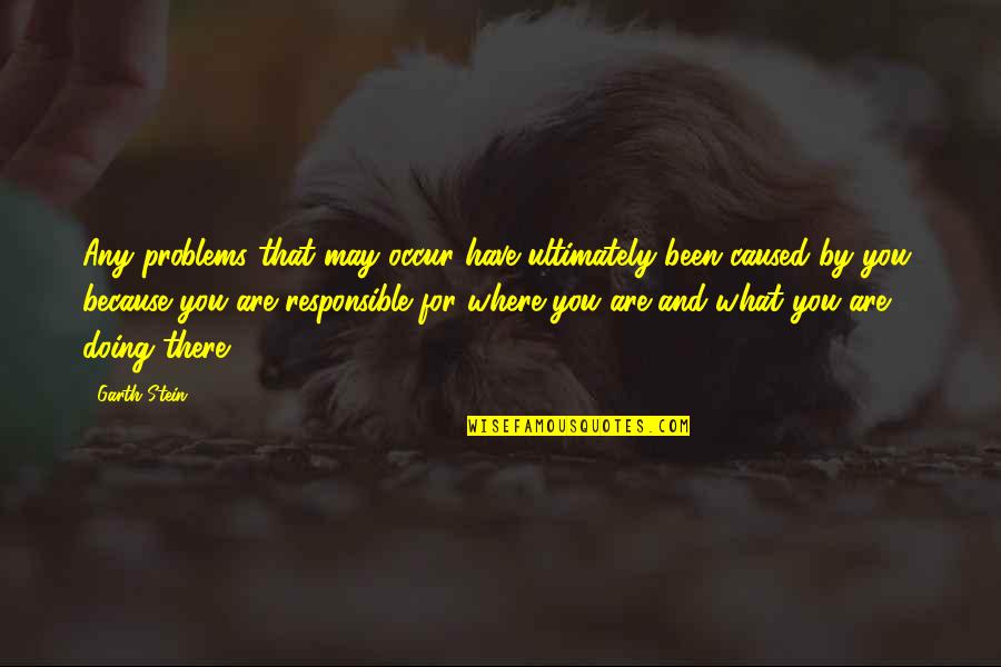Responsible For Your Own Life Quotes By Garth Stein: Any problems that may occur have ultimately been
