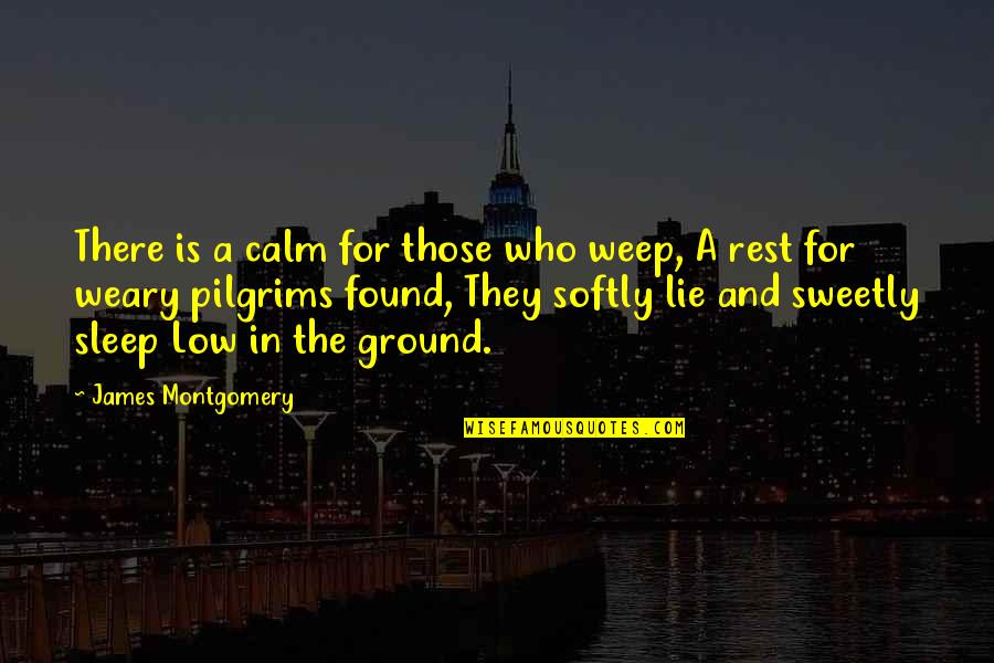 Rest And Sleep Quotes By James Montgomery: There is a calm for those who weep,