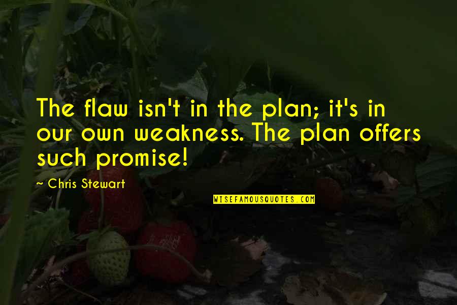 Rest Later Quotes By Chris Stewart: The flaw isn't in the plan; it's in