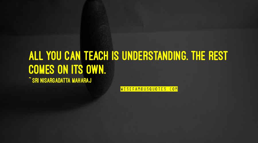 Rest Quotes By Sri Nisargadatta Maharaj: All you can teach is understanding. The rest