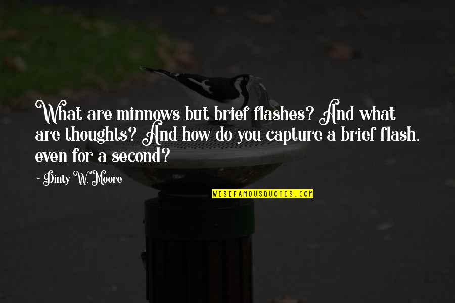 Restart Relationship Quotes By Dinty W. Moore: What are minnows but brief flashes? And what