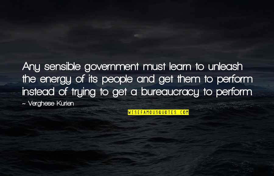 Resterait Quotes By Verghese Kurien: Any sensible government must learn to unleash the
