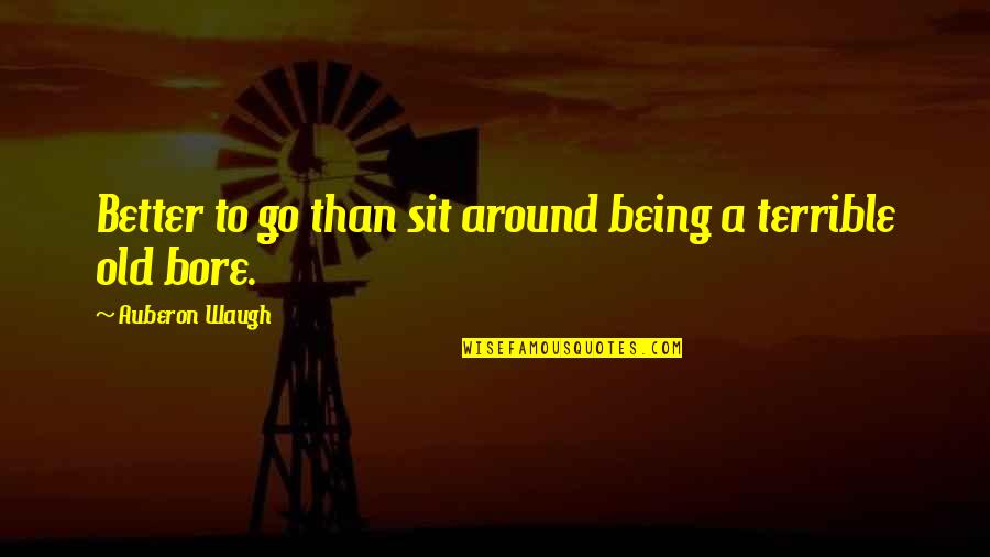 Restful Evening Quotes By Auberon Waugh: Better to go than sit around being a