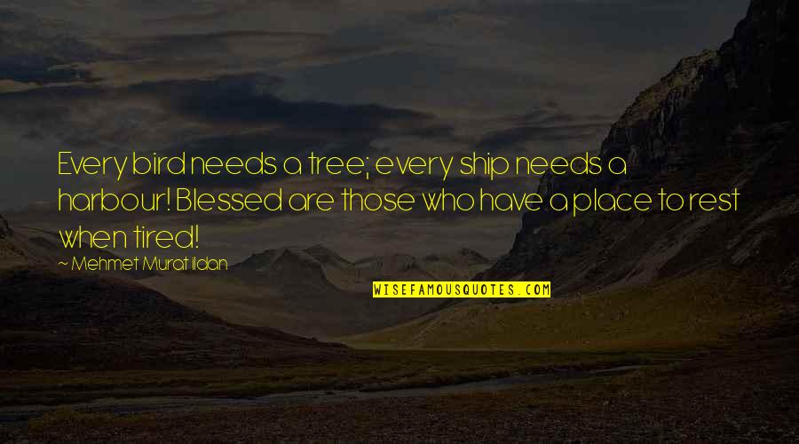 Resting Place Quotes By Mehmet Murat Ildan: Every bird needs a tree; every ship needs