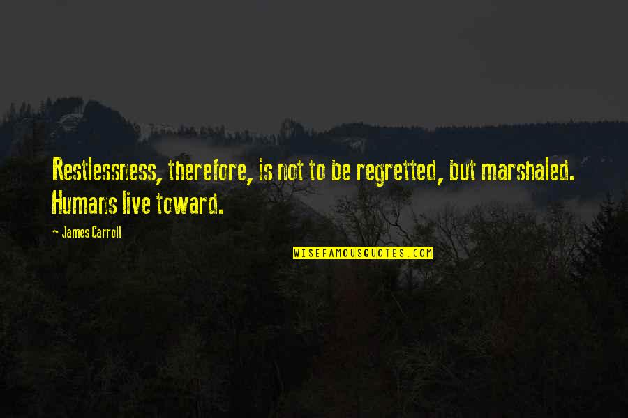 Restlessness Quotes By James Carroll: Restlessness, therefore, is not to be regretted, but