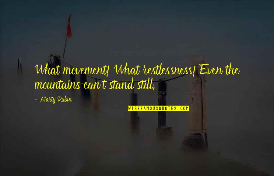 Restlessness Quotes By Marty Rubin: What movement! What restlessness! Even the mountains can't