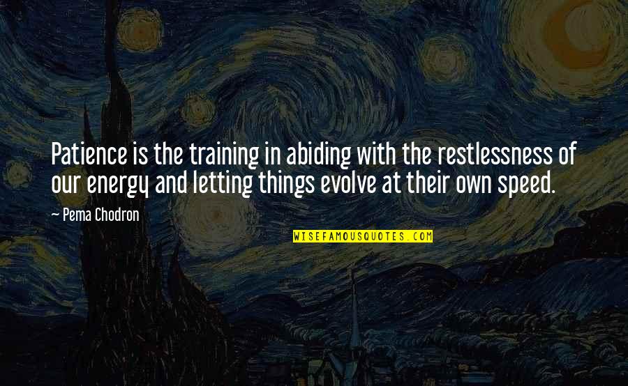 Restlessness Quotes By Pema Chodron: Patience is the training in abiding with the