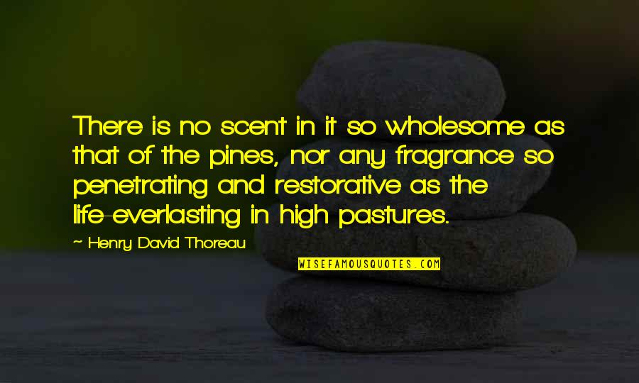 Restorative Quotes By Henry David Thoreau: There is no scent in it so wholesome