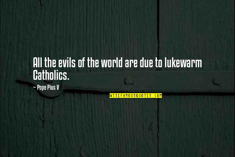 Resultaten Pharming Quotes By Pope Pius V: All the evils of the world are due