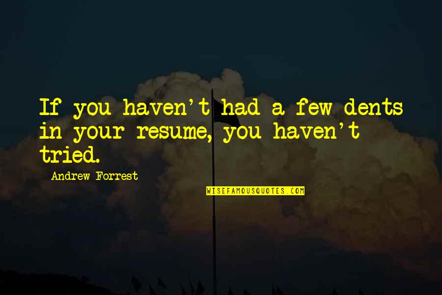 Resume Best Quotes By Andrew Forrest: If you haven't had a few dents in