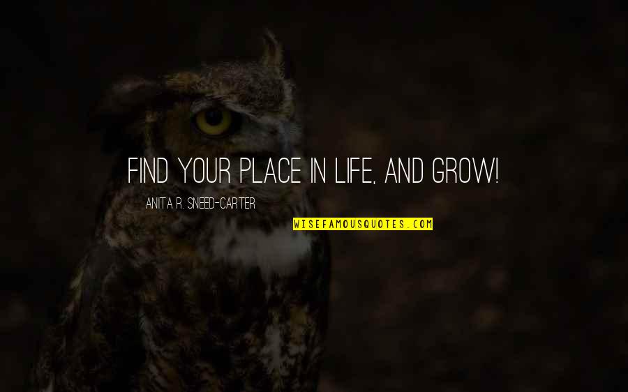 Resurgir De Las Cenizas Quotes By Anita R. Sneed-Carter: Find your place in life, and GROW!