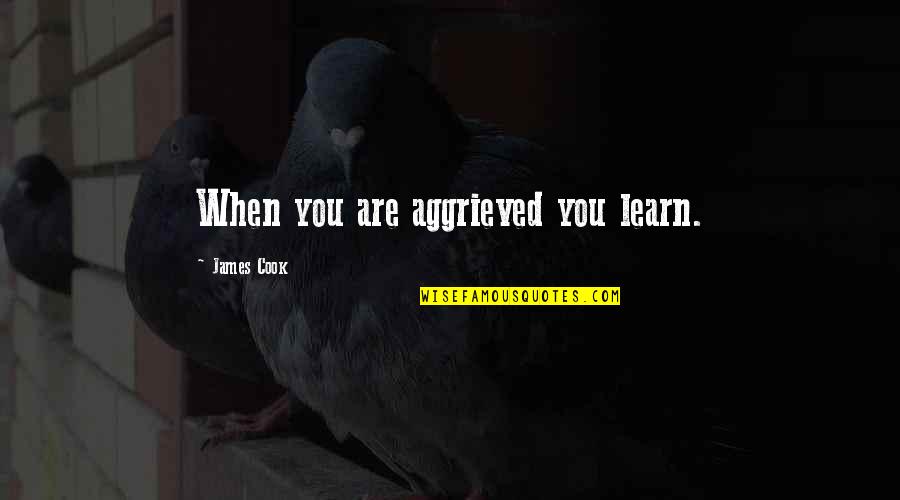 Resynthesize Atp Quotes By James Cook: When you are aggrieved you learn. Resynthesize Atp Quotes By James Cook: When you are aggrieved you learn.