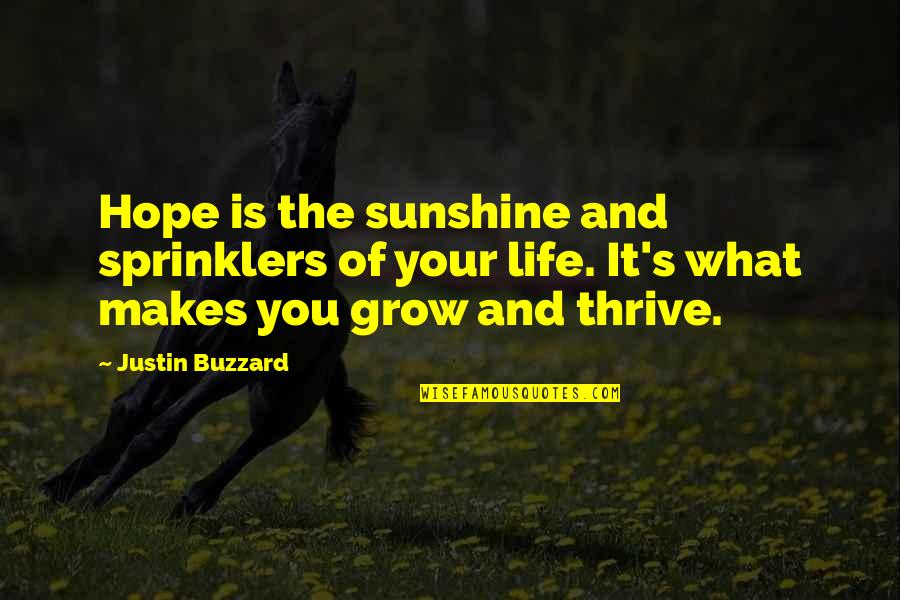 Retake The House Quotes By Justin Buzzard: Hope is the sunshine and sprinklers of your