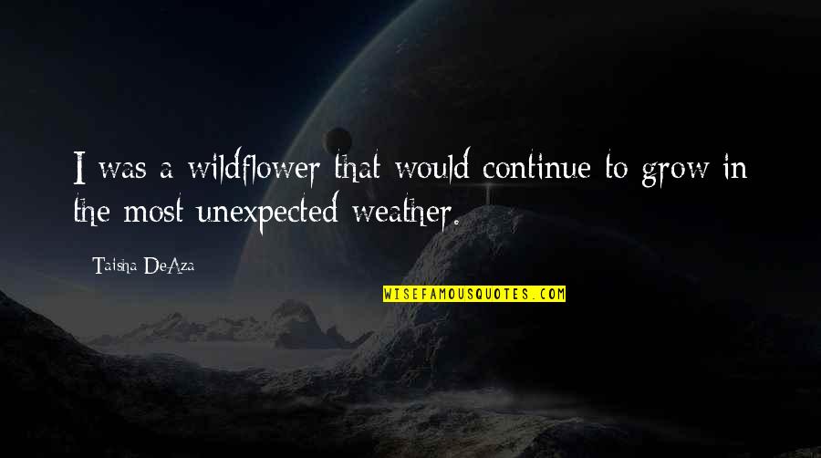 Retchless Enterprises Quotes By Taisha DeAza: I was a wildflower that would continue to