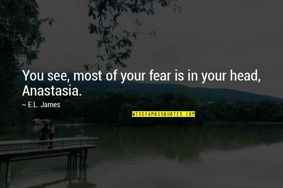 Retezat Mountains Quotes By E.L. James: You see, most of your fear is in
