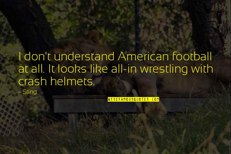Retezat Mountains Quotes By Sting: I don't understand American football at all. It