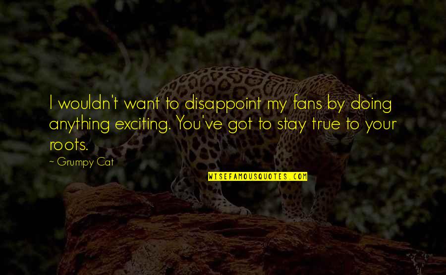 Reticite Quotes By Grumpy Cat: I wouldn't want to disappoint my fans by