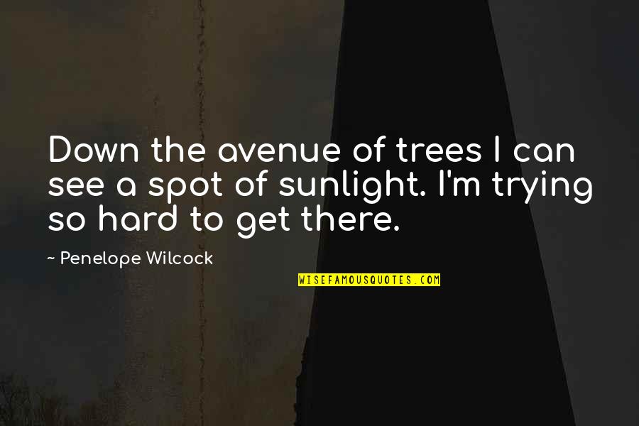 Retired Golfer Quotes By Penelope Wilcock: Down the avenue of trees I can see