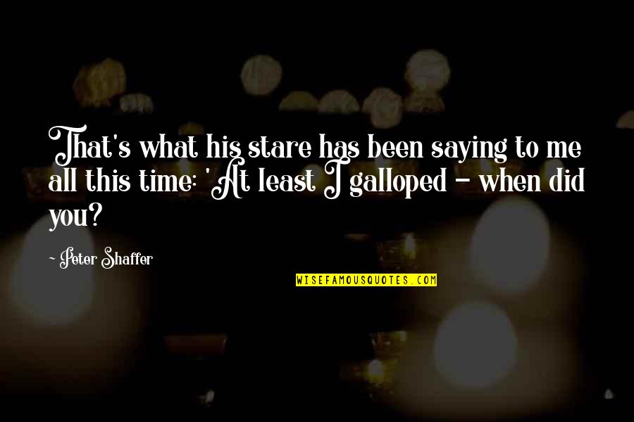 Retired Life Quotes By Peter Shaffer: That's what his stare has been saying to Retired Life Quotes By Peter Shaffer: That's what his stare has been saying to