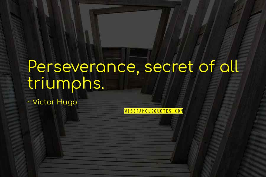 Retired Teachers Quotes By Victor Hugo: Perseverance, secret of all triumphs.