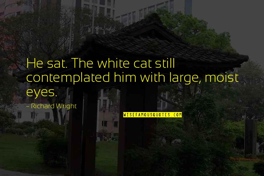 Retiring From The Military Quotes By Richard Wright: He sat. The white cat still contemplated him