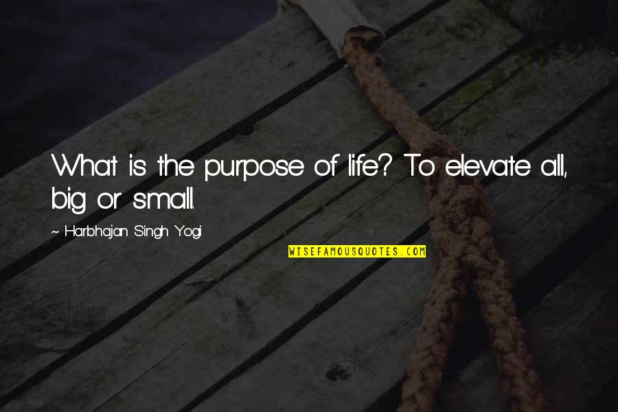 Retiro Quotes By Harbhajan Singh Yogi: What is the purpose of life? To elevate