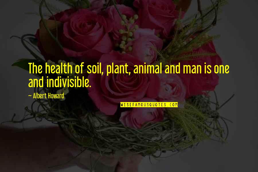 Retold Tale Quotes By Albert Howard: The health of soil, plant, animal and man
